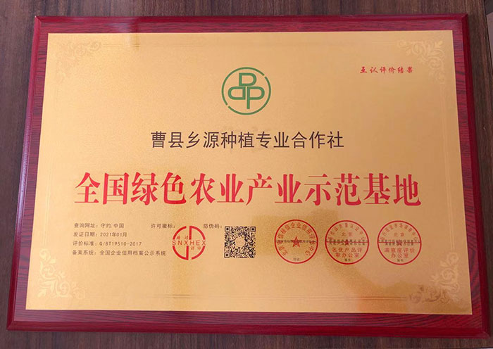 资质荣誉