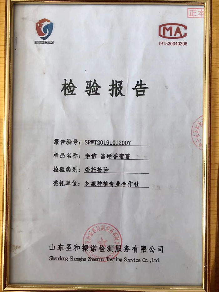 资质荣誉