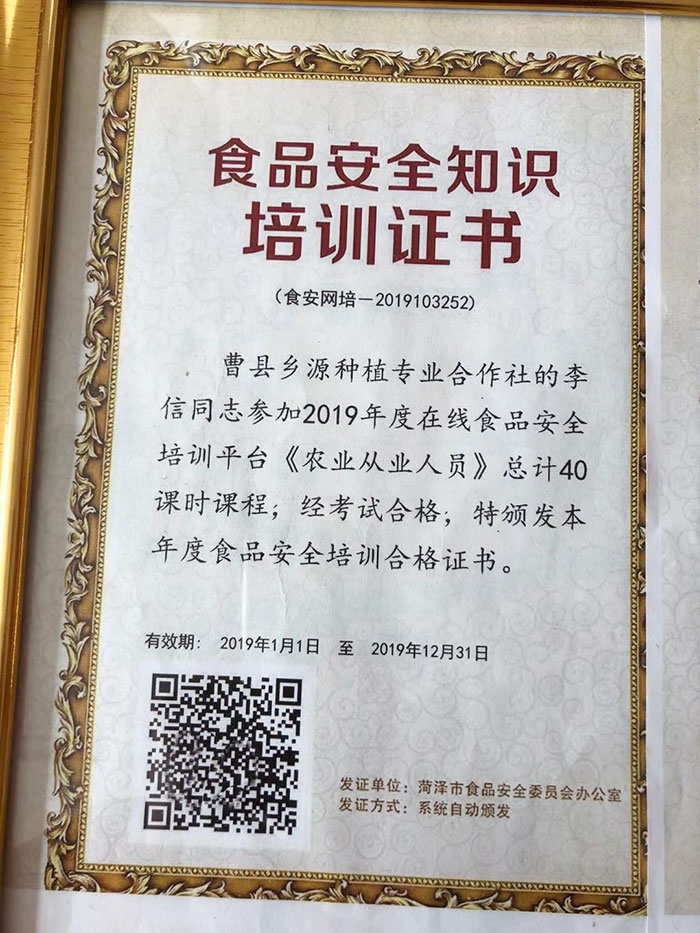 资质荣誉