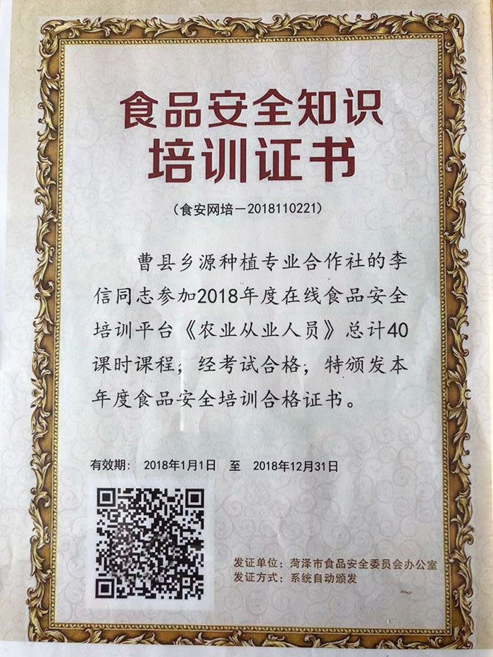 资质荣誉