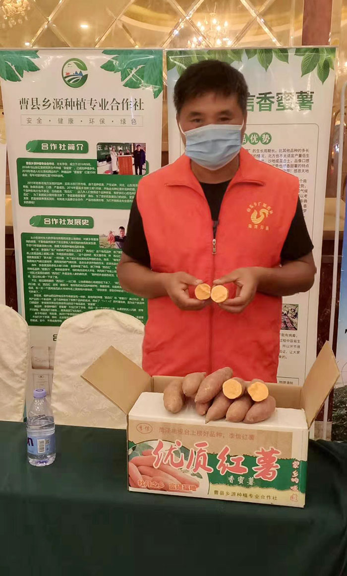 香蜜薯