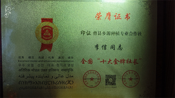 全国“十大金牌社长