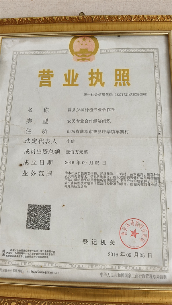 营业执照